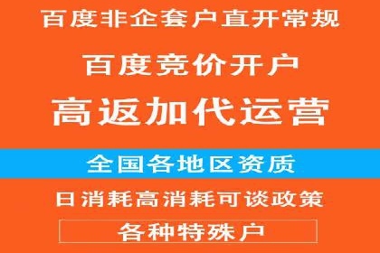 百度推广中SEO优化的成功案例分析